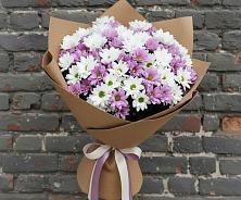 Букет цветов из:  Хризантемы #REPLACE_PRED# Эльбрусский