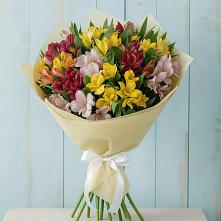 Букет цветов из:  Альстромерии #REPLACE_PRED# Эльбрусский