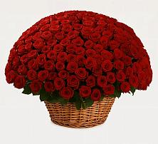 Премиум букет из: Розы в Эльбрусский